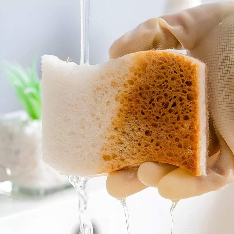 Coconut Fibre Natural Dish Sponge