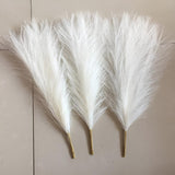 Stylish Faux Pampas Grass Stems | 3 Pcs