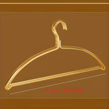 Elegant Golden Aluminium Alloy Hangers