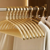 Elegant Golden Aluminium Alloy Hangers